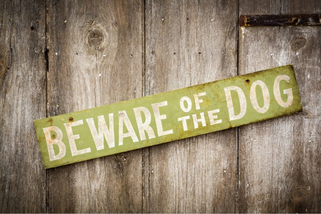 A weathered metal sign reading "Beware of the Dog" is mounted on a wooden fence.